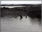 foto Isole Galapagos